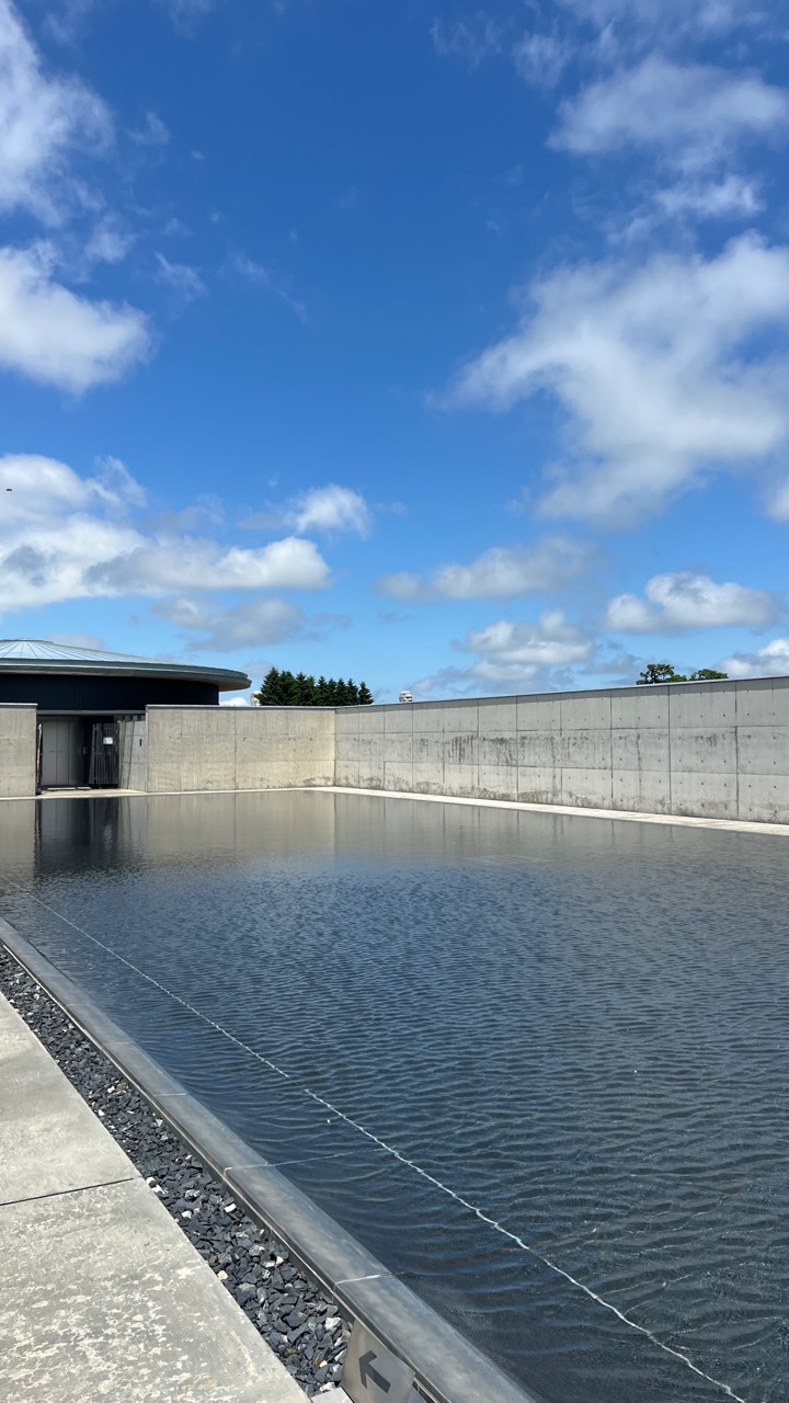 頭大仏殿水庭