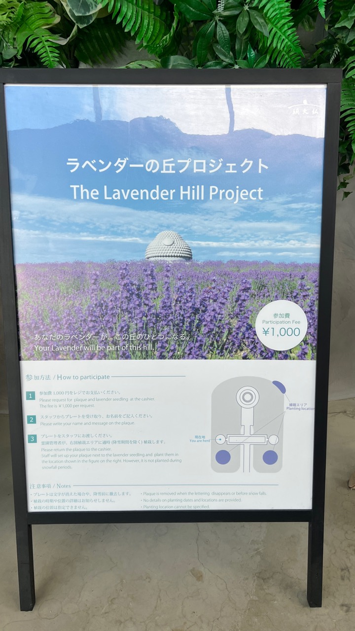 薰衣草丘計畫看板