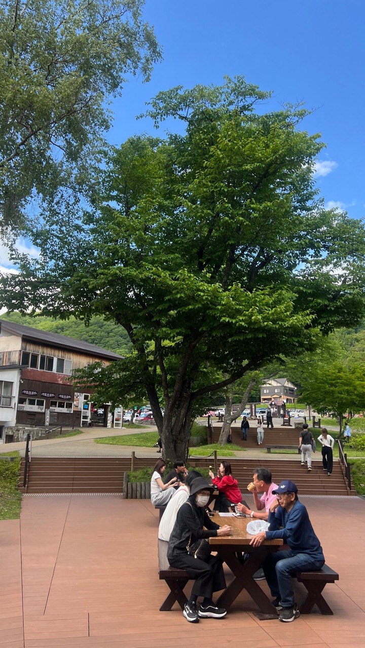 支笏湖広場公園樹下休息區