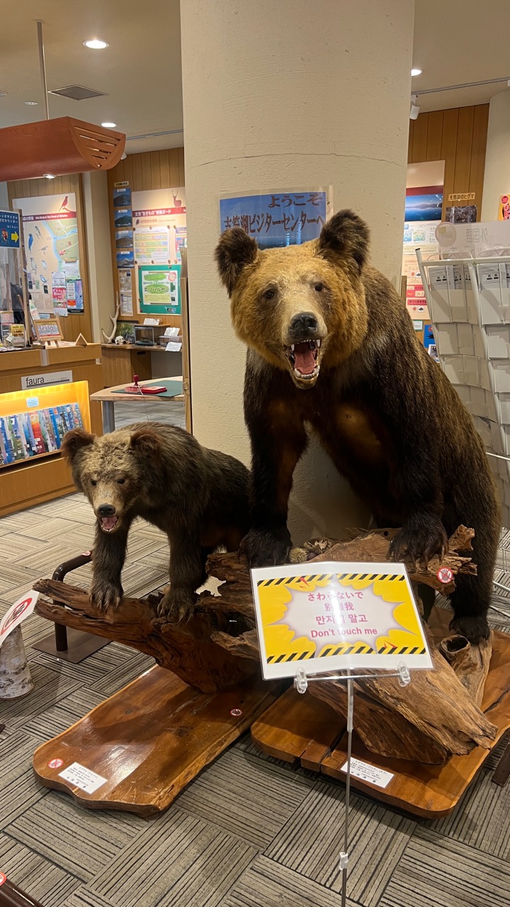 支笏湖ビジターセンター生態展示