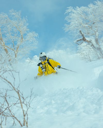 PURE SKI：樹林滑行
