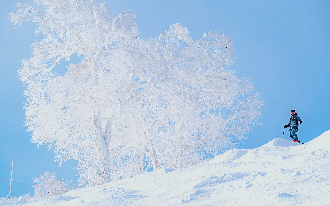 札幌手稻樹冰雪道
